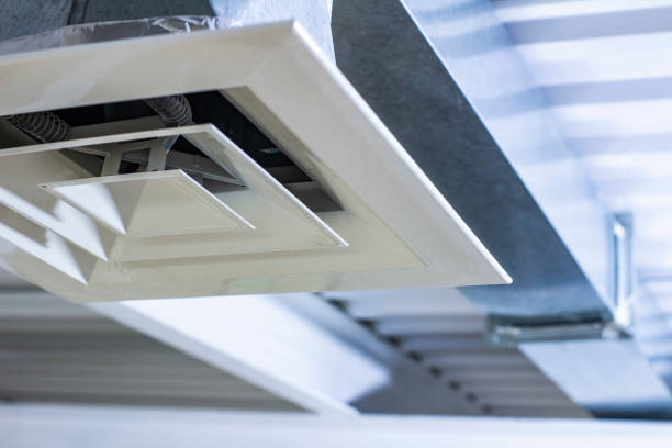 Best Affordable Air Duct Cleaning  in Grass Lake, MI