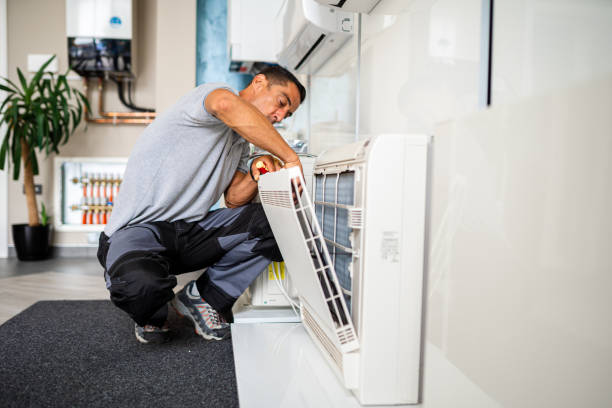 Best Affordable Duct Cleaning Services  in Grass Lake, MI