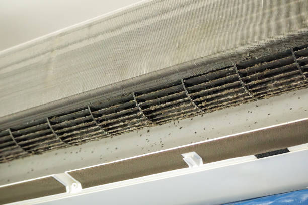 Best Local Air Duct Cleaning Services  in Grass Lake, MI